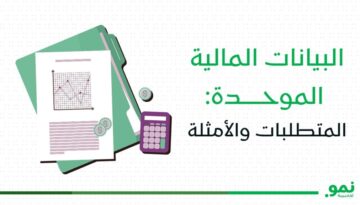 البيانات المالية الموحدة