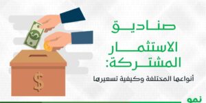 صناديق الاستثمار المشتركة: أنواعها المختلفة وكيفية تسعيرها