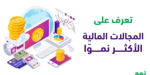 المجالات المالية الأكثر نموا