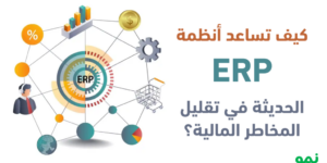 ERP-Financial-Risk